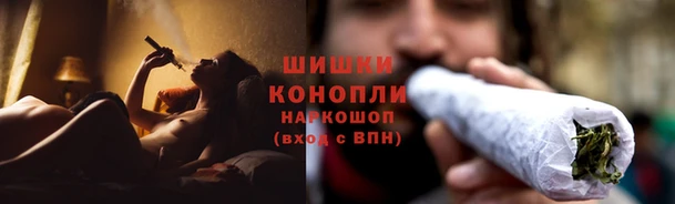 сатива Алексин