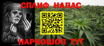 дурь Гатчина