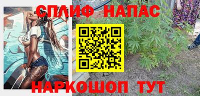 СК Гагарин
