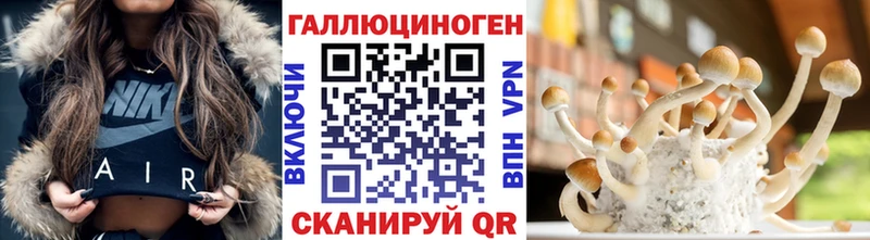 это какой сайт  ссылка на мегу рабочий сайт  Боровичи  Псилоцибиновые грибы мицелий 