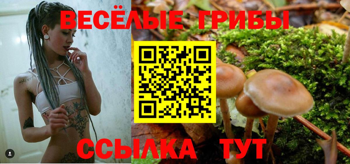 Галлюциногенные грибы мицелий  Галлюциногенные грибы мицелий  Боровичи  Вход с VPN 